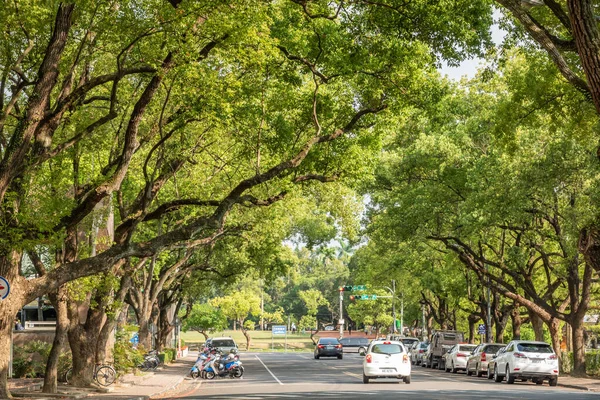 Nantou Taiwan Abril 2020 Cenário Rua Com Casa Velha Árvores — Fotografia de Stock