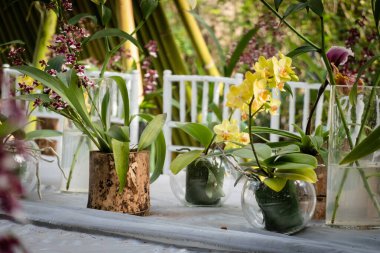 Sarı zambak çiçekleri dışarıda, masanın üstünde.