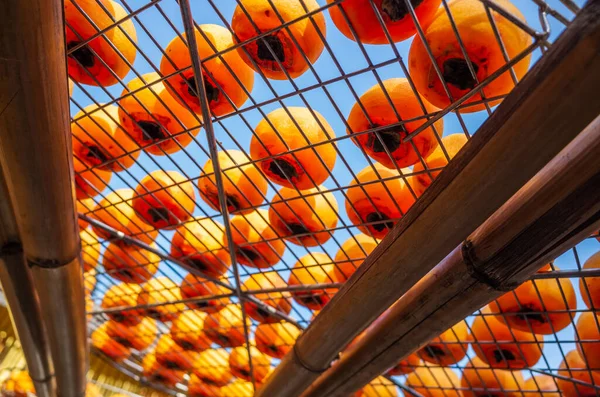 Dried Persimmon Sun Xinpu Township Hsinchu Taiwan — Stock Photo, Image