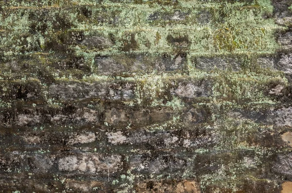 Moisture Aged Cement Brick Wall Background Good Weathered Texture — Stock Photo, Image