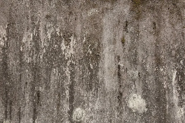 Old Mildewed Cement Wall Grunge Background Texture — Stock Photo, Image