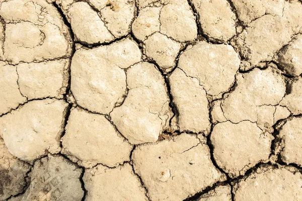 Fond Terre Fissure Séchée Pendant Sécheresse Avec Une Bonne Texture — Photo