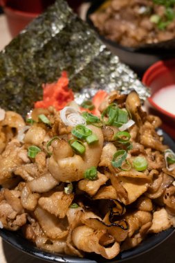 Japon Donburi, sıcak dilimlenmiş domuz eti ve pirinçli.