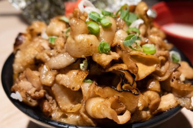 Japon Donburi, sıcak dilimlenmiş domuz eti ve pirinçli.