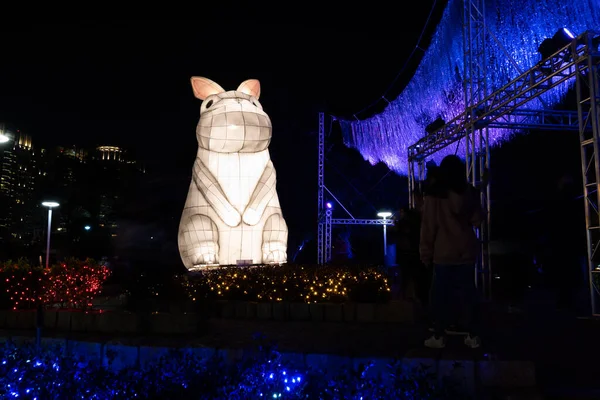 Taichung City Taiwan Fevereiro 2020 Festival Lanternas Com Turistas Lanternas — Fotografia de Stock