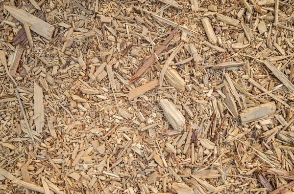 Cracked Wooden Lumber Sawdust Ground — Stock Photo, Image