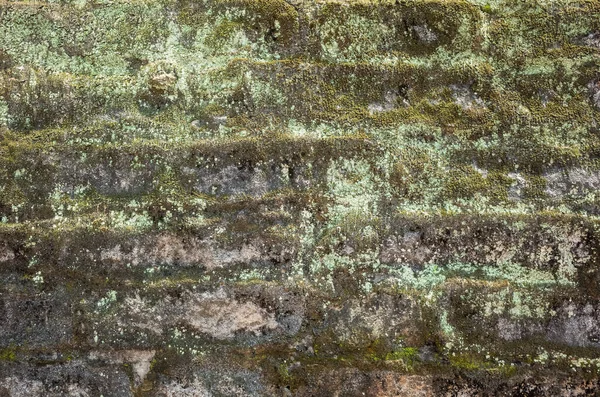 moisture aged cement brick wall background with good weathered texture