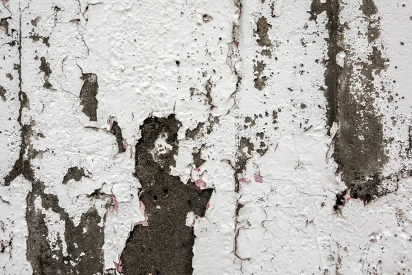 Mur Blanc Altéré Par Les Intempéries Avec Surface Peinture Pelante — Photo