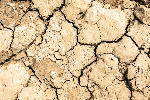 Fond Terre Fissure Séchée Pendant Sécheresse Avec Une Bonne Texture — Photo