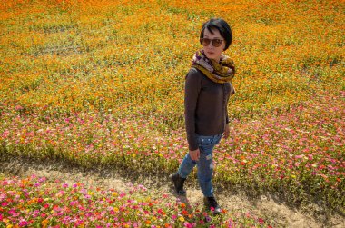 modern Asyalı kadın renkli kozmo çiçek çiftliğinde yürüyor.