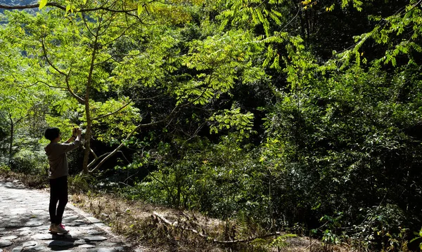 Viajando Mujer Asiática Tomar Una Foto Aire Libre Bosque — Foto de Stock