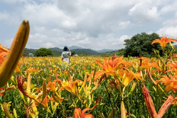 Frau Auf Der Tigerlililienfarm Freien Unterwegs — Stockfoto