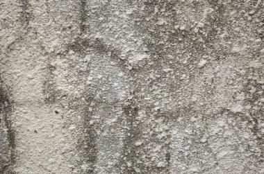 Duvarda küf olan kirli gri arkaplan