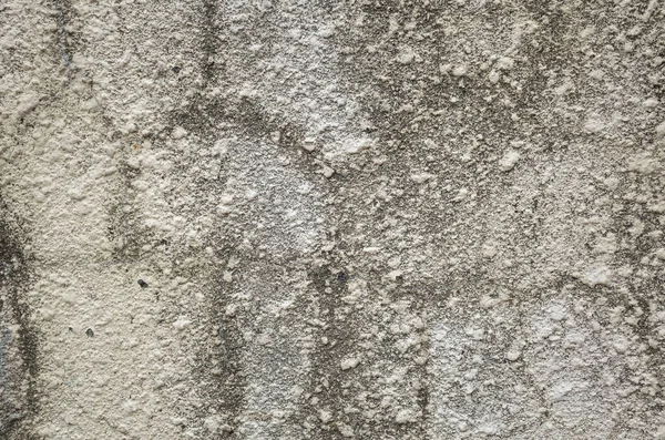 Duvarda Küf Olan Kirli Gri Arkaplan — Stok fotoğraf