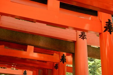 otorii kısmi close-up fushimi Inari taisha tapınak içinde otorii