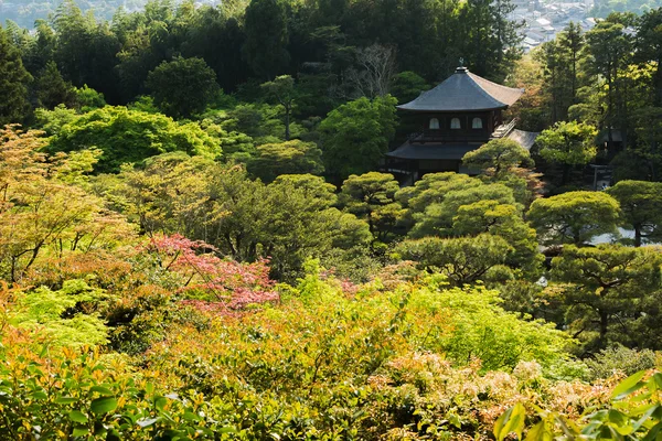 S výhledem na Ginkakuji chrámu v Kjótu. — Stock fotografie