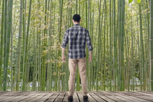 Látszó levegőbe bamboo forest — Stock Fotó