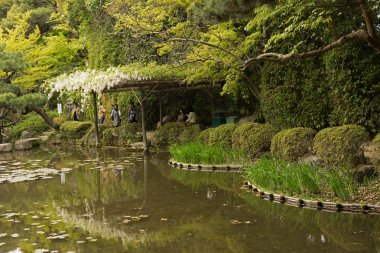 heian tapınak yakınındaki Japon bahçe sahne.
