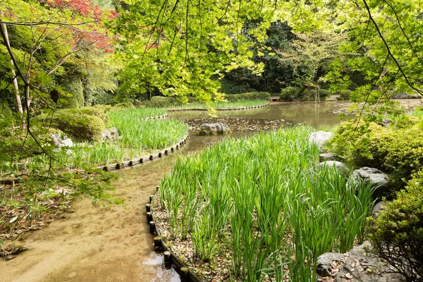 园艺在池塘里的绿草的风景. — 图库照片