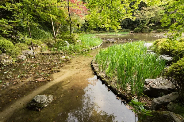 A tájat, a zöld fű a tó Kertészet. — Stock Fotó