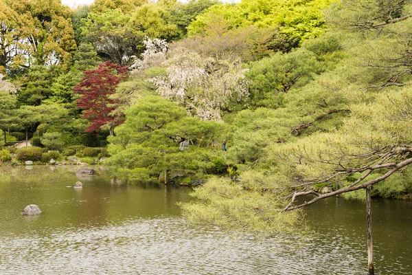 Le décor de jardin japonais avec la pone. — Zdjęcie stockowe