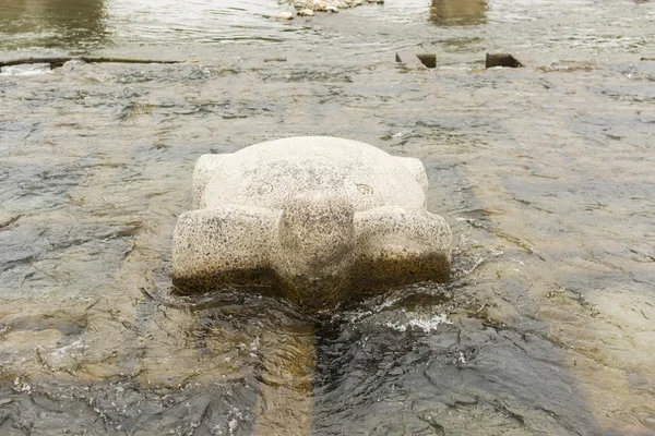 Tortuga de piedra en Kamogawa — Foto de Stock