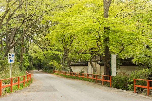 下鴨神社近くの大通り — ストック写真