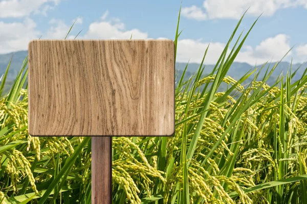 Blank wooden sign — Stock Photo, Image