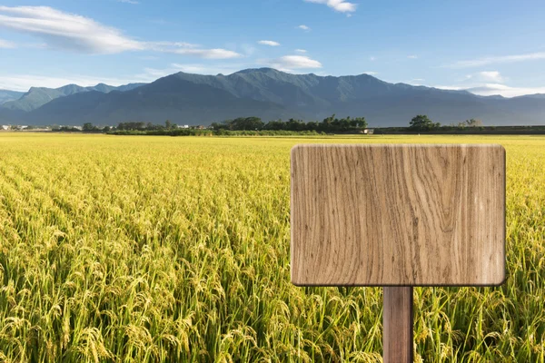 Blank wooden sign — Stock Photo, Image