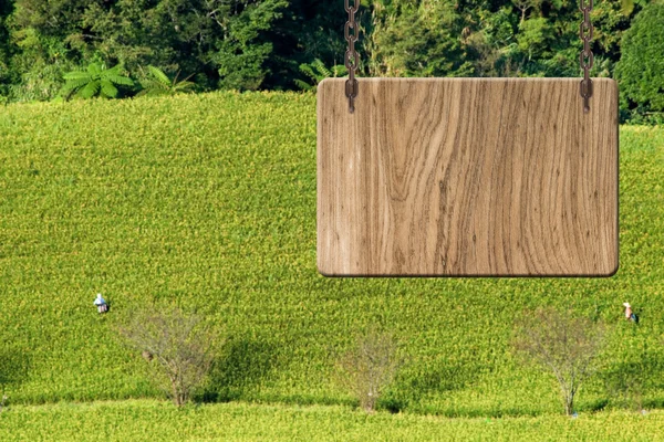 아무것도 없는 나무 표지판 — 스톡 사진