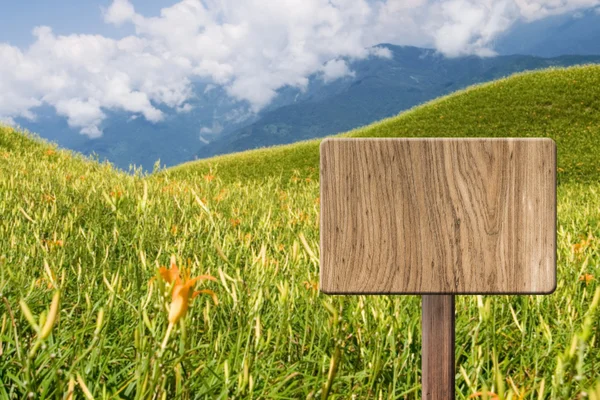 Blank wooden sign — Stock Photo, Image