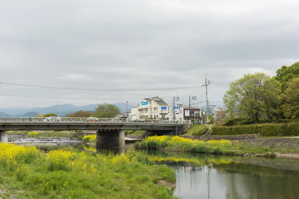 Paysage de Kamogawa avec des fleurs jaunes et pont — Photo