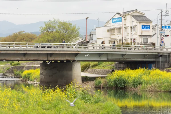 Landschap van kamogawa met gele bloemen en bridge — Stockfoto