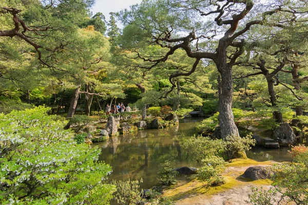 Japán kert. — Stock Fotó