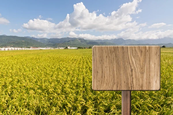 Blank wooden sign — Stock Photo, Image