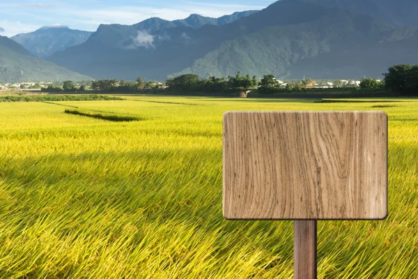 Blank wooden sign — Stock Photo, Image