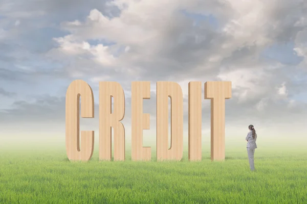 Concept of credit — Stock Photo, Image