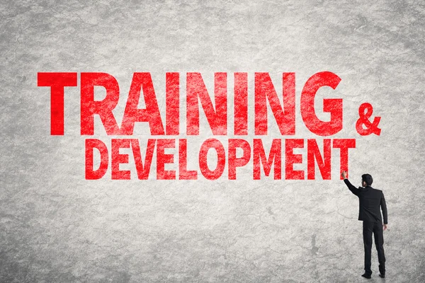 Training & Development — Stock Photo, Image