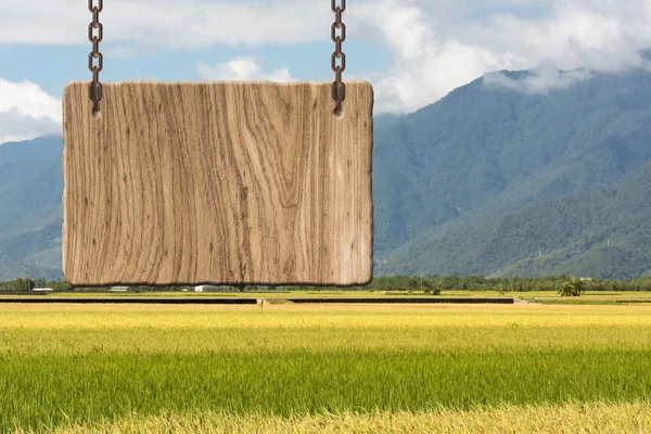 Blank wooden sign — Stock Photo, Image