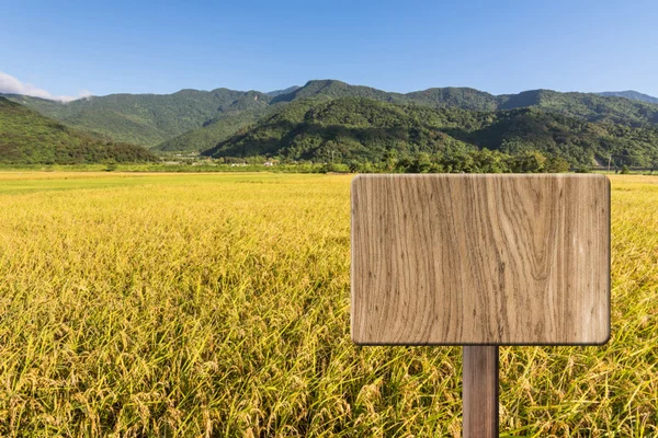 Blank wooden sign — Stock Photo, Image