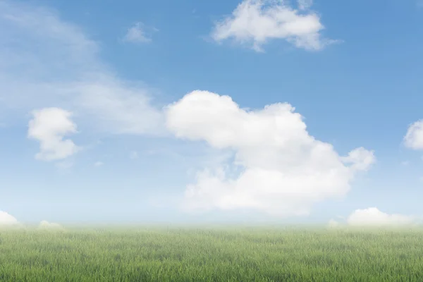 Clouds on heaven above the ground — Stock Photo, Image