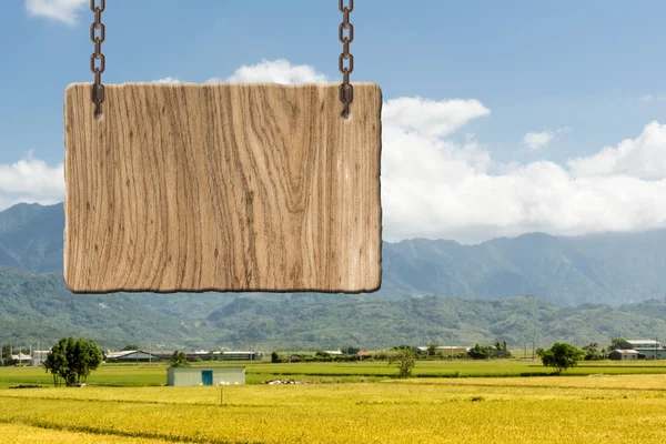 Blank wooden sign — Stock Photo, Image