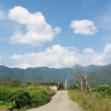 Kırsal manzara manzara