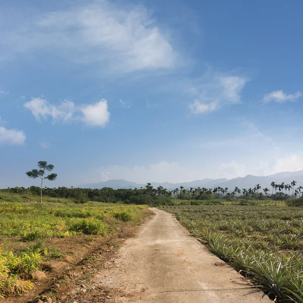 Rural scenery landscape — Stock Photo, Image