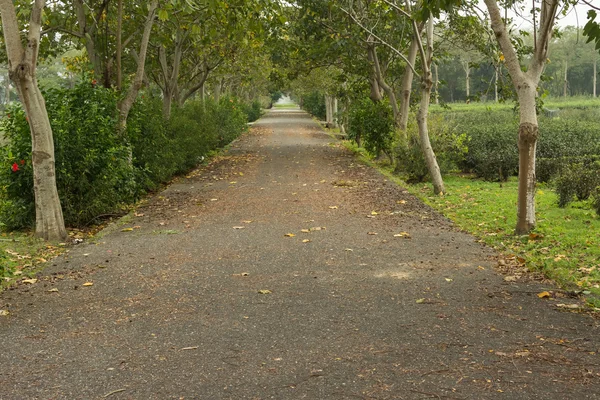 Estrada no campo — Fotografia de Stock