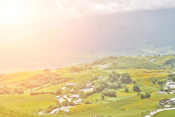 Campo en Hualien — Foto de Stock