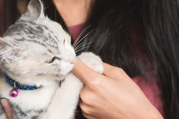 Kvinna leker med hennes kattunge — Stockfoto