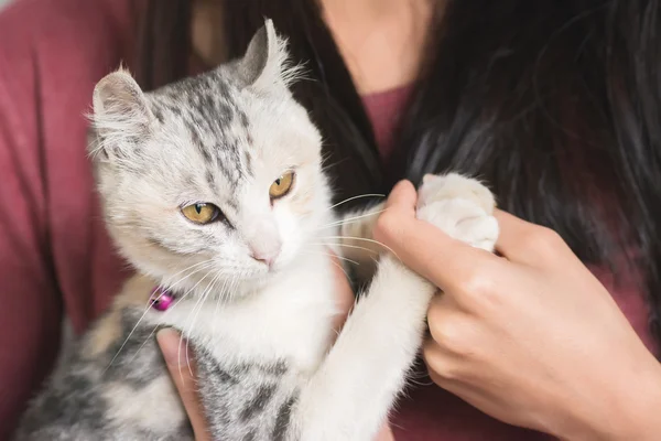 Kvinna leker med hennes kattunge — Stockfoto