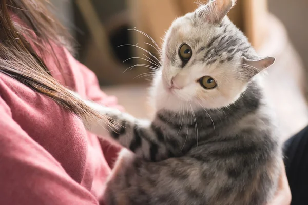 Kvinna leker med hennes kattunge — Stockfoto