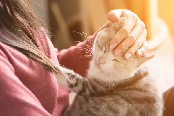 Kvinna leker med hennes kattunge — Stockfoto